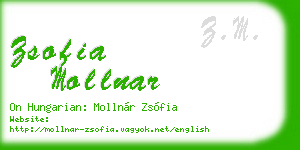 zsofia mollnar business card